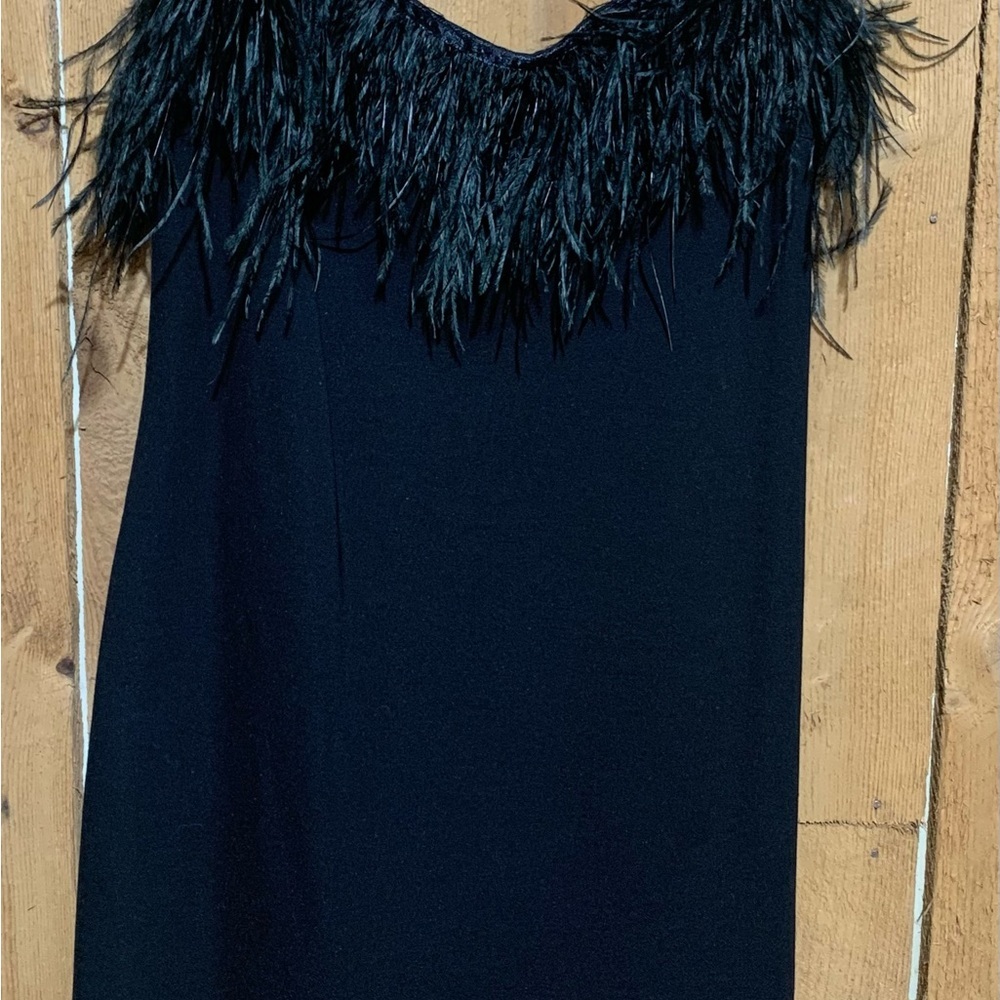 Chic Black Feather Trim Mini Dress Urban Outfitters Clarissa Size 12 - Picture 9 of 10